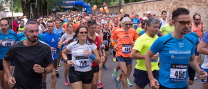 Mezza Vicenza 2015_1