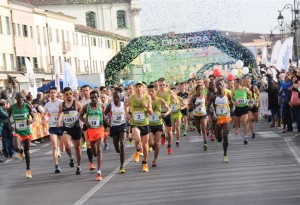 Dogi 2016_b_La partenza