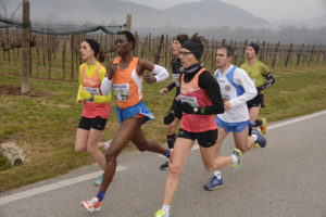 prosecco-run_vigneti