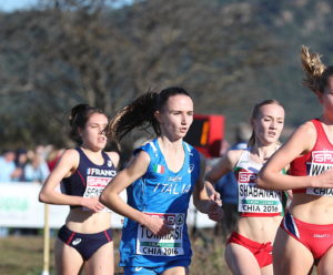 Tommasi_azzurro_resize