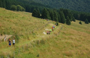 Cansiglio Run_panoramica