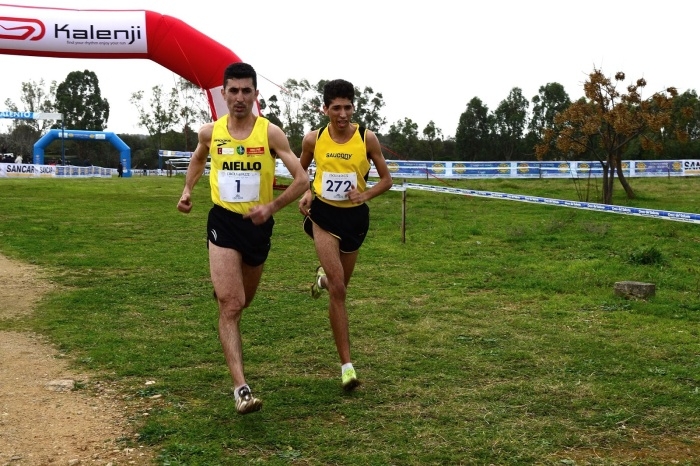 Leone_Cross del Salento