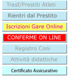 pulsante Certificato Assicurativo